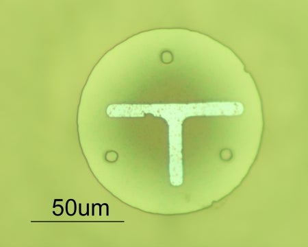 This silicon dioxide disk, viewed from above, is the nanoball kicked around by the bots. It has the diameter of a human hair and T mark so that it stands out from the field.
