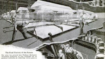 Archive Gallery: The Future of Food