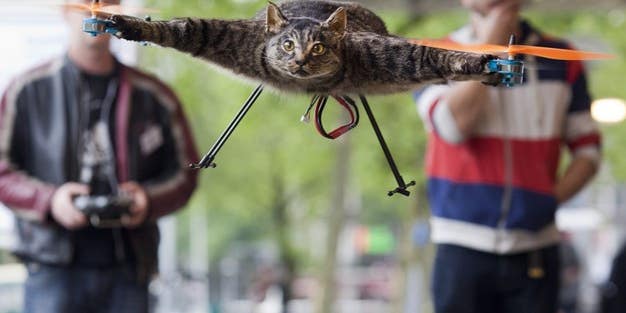 Video: Dutch Artist Turns His Dead Cat Into a Flying Quadcopter