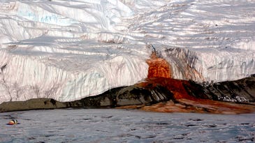 Life Thrives Below Antarctic Glacier