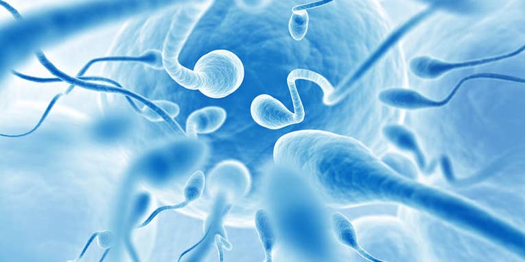 There may be something weird going on with Western men’s sperm