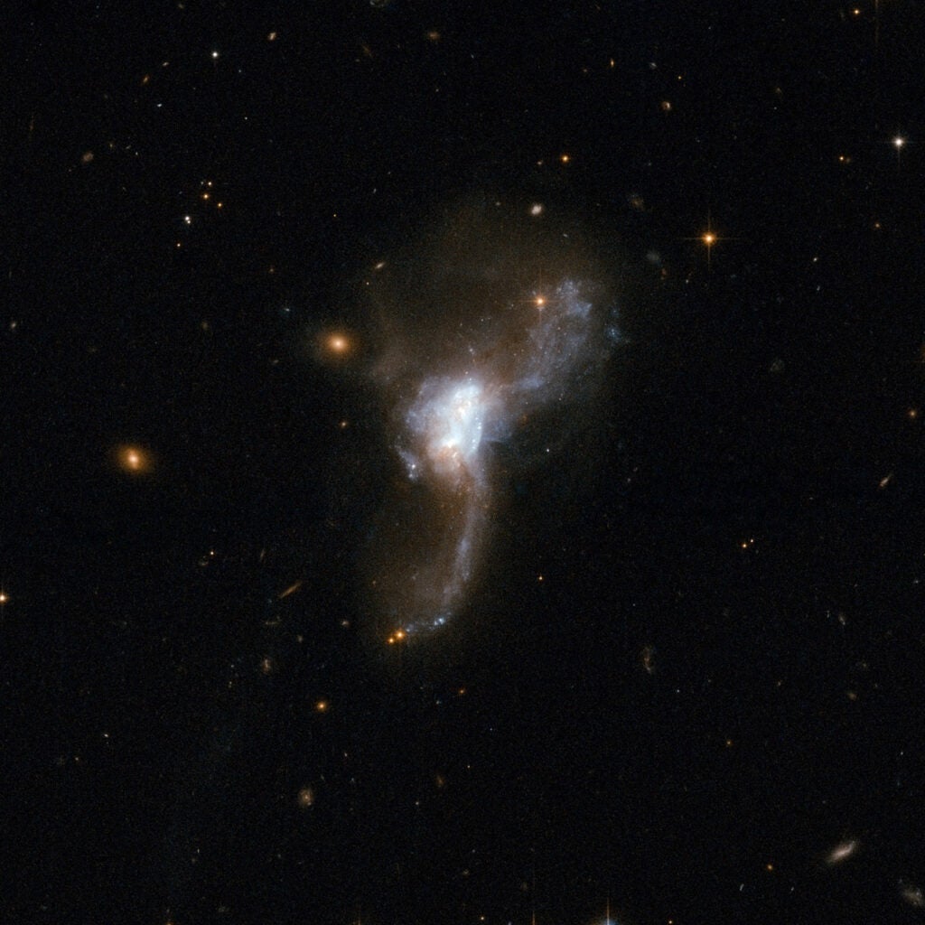 ESO 148-2 is a beautiful object that resembles an owl in flight. It consists of a pair of former disk galaxies undergoing a collision. The cores of the two individual galaxies - seen at the center of the image - are embedded in hot dust and contain a large number of stars. Two huge wings sweep out from the center and curve in opposite directions. These are tidal tails of stars and gas that have been pulled from the easily distorted disks of the galaxies. This cosmic owl is one of the most luminous infrared galaxies known and is located some 600 million light-years away from Earth.