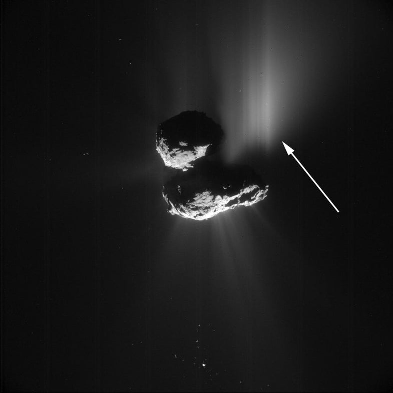 A giant cliff collapse on a comet reveals pristine ice beneath the surface