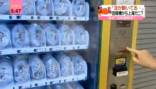 Video: Chinese Vending Machine Sells Live Hairy Crabs