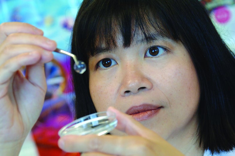 Implanted Biosynthetic Corneas Can Regenerate Tissue, Restoring Vision in Humans