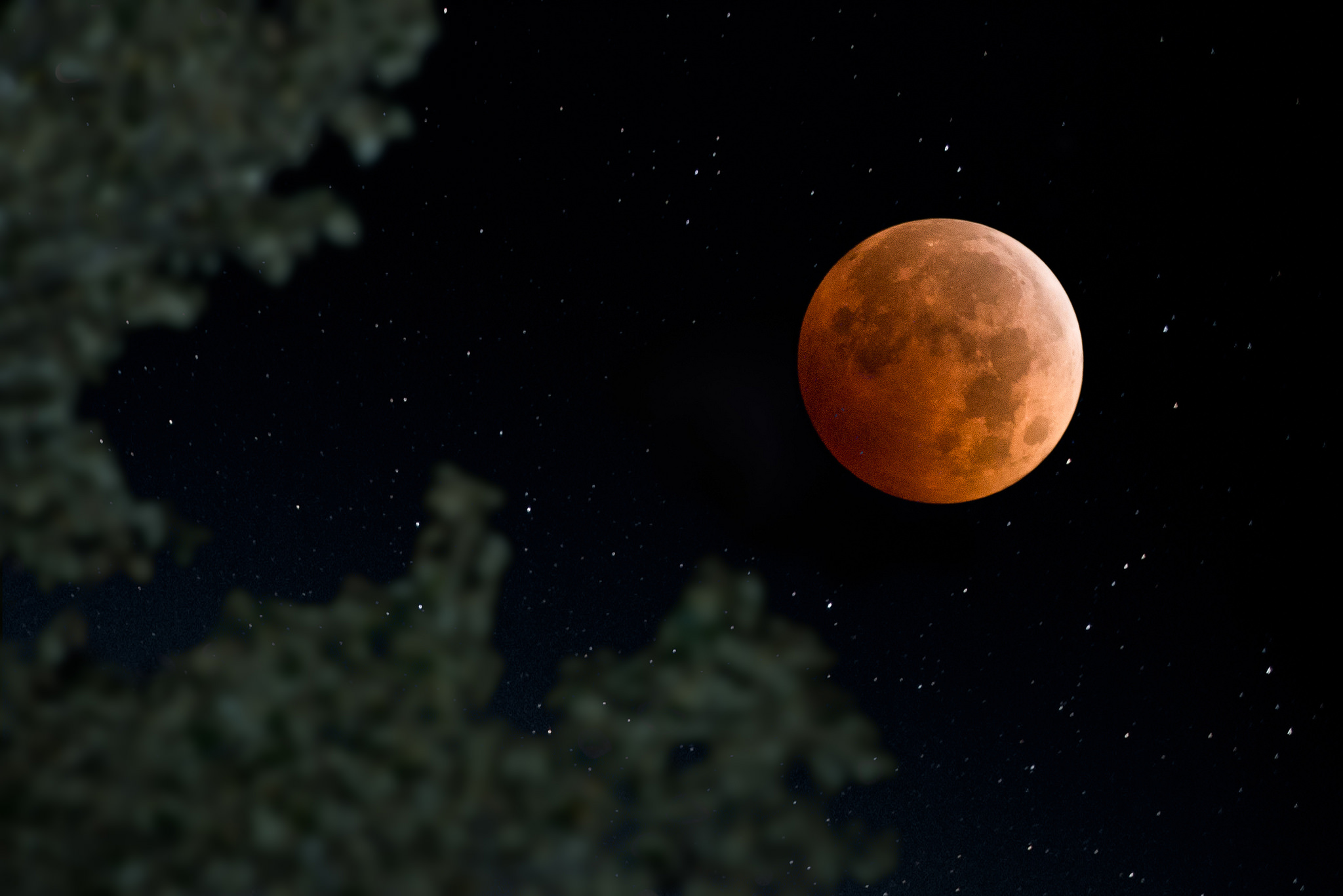 The First Supermoon Eclipse In 32 Years Happens This Sunday