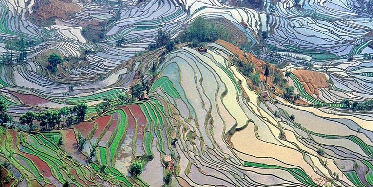 Documentary Teaches Chinese Farmers, ‘What’s Organic?’