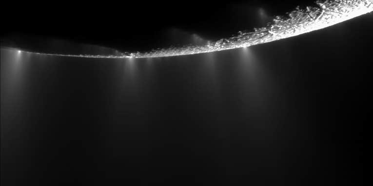 Is It Snowing Microbes on Enceladus?