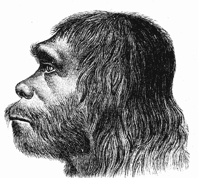 How Neanderthal Are You?
