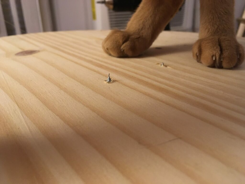 screws poke out of base