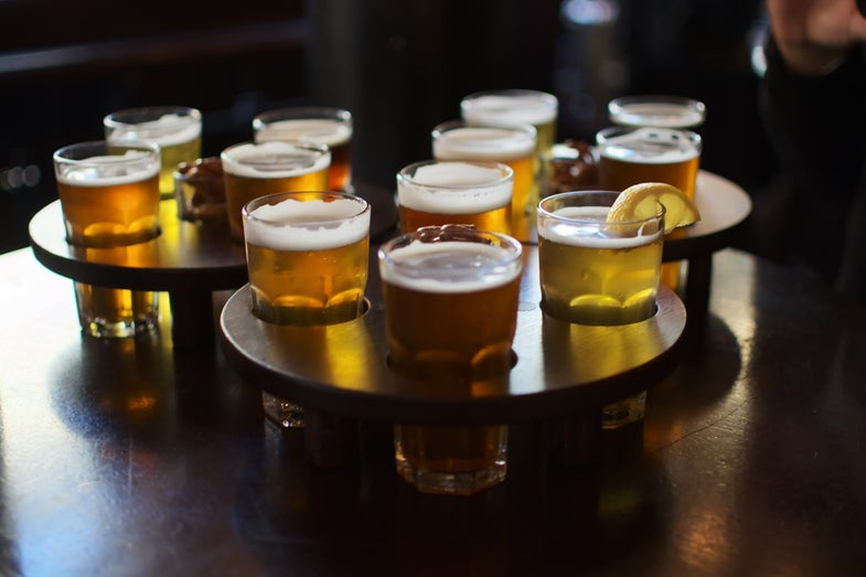 DNA Test Detects Beer Gone Bad