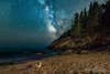 Astrophotographer Stephen Ippolito took this photo of the amazing Milky Way Galaxy as it rested over Sand Beach in Acadia National Park in Main only to find that a Harbor Seal had stolen the shot. Ippolito told <a href="http://www.space.com/30298-seal-photobombs-milky-way-photo.html?cmpid=514648">Space.com</a> that the two of them together in one photo left him in awe.