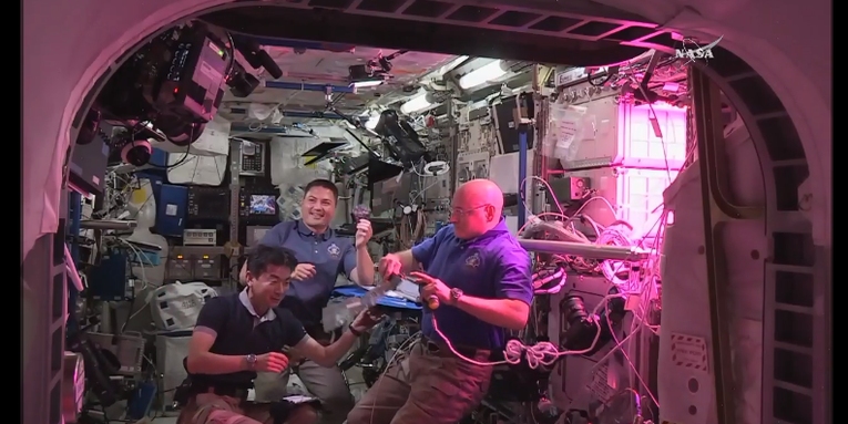Space-Grown Lettuce Tastes “Awesome,” Astronauts Say