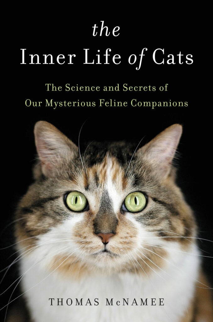 book cover inner life of cats