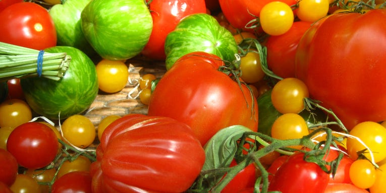 Damaged Tomatoes Could Provide Electricity