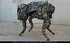 China Robot Big Dog