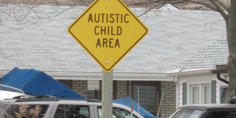 Are Environmental Factors to Blame for Autism?