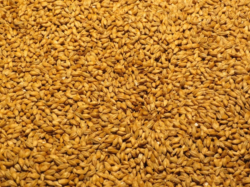 Barley is used to make beer and bread.