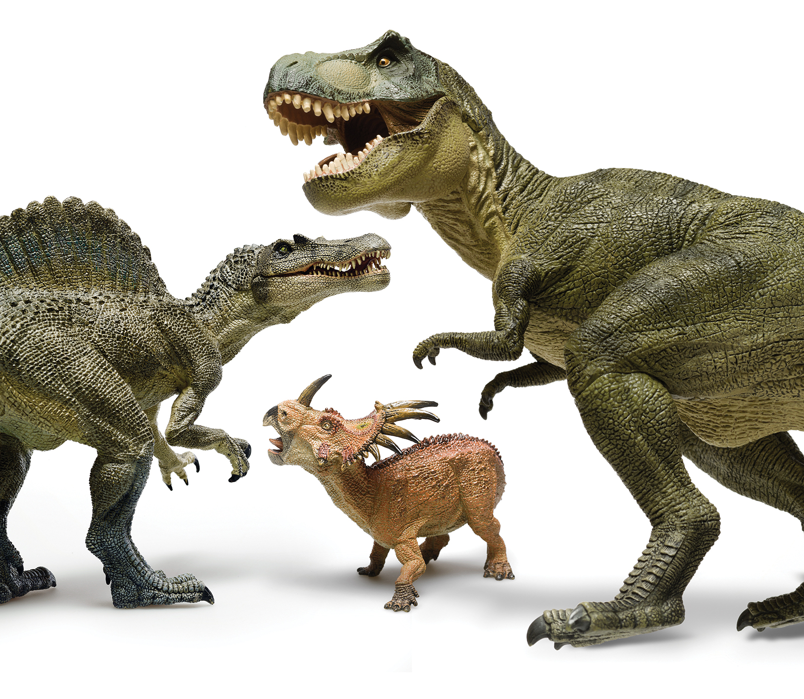 FYI: Did Dinosaurs Get The Flu?
