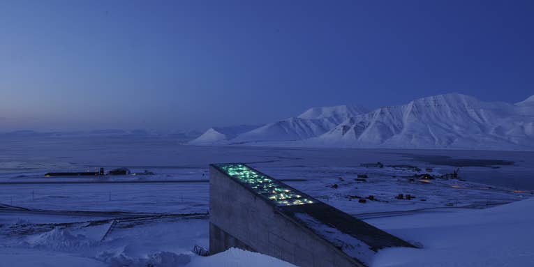 Turns out the Svalbard seed vault is probably fine