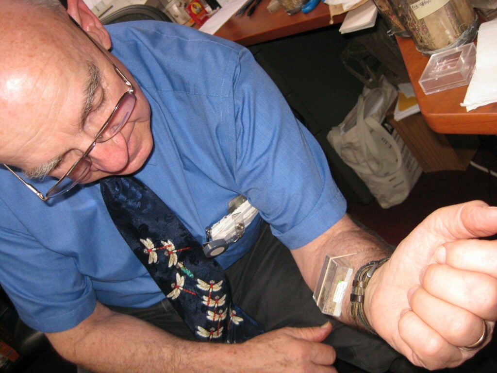 Harold Harlan feeds bed bugs on his arm using a small dispaly box