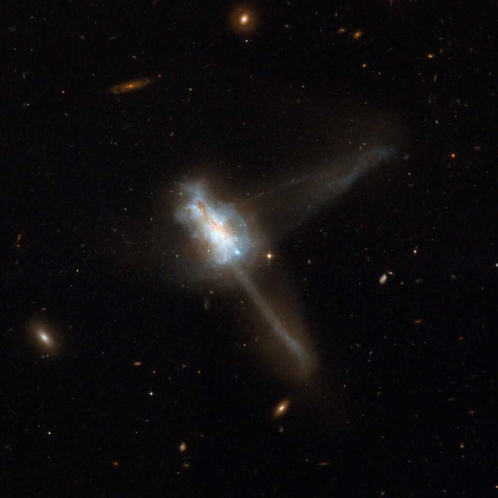 IC 883 displays a very disturbed, complex central region with two tidal tails of approximately the same length emerging at nearly right angles: one diagonally to the top right of the frame and the other to the bottom right. The twin tidal tails suggest that IC 883 is the remnant of the merger of two gas-rich disk galaxies. The collision appears to have triggered a burst of star formation, indicated by a number of bright star clusters in the central region. IC 883 is 300 million light-years away toward the constellation of Canes Venatici, the Hunting Dogs. It is Number 193 in Arp's Atlas of Peculiar Galaxies.
