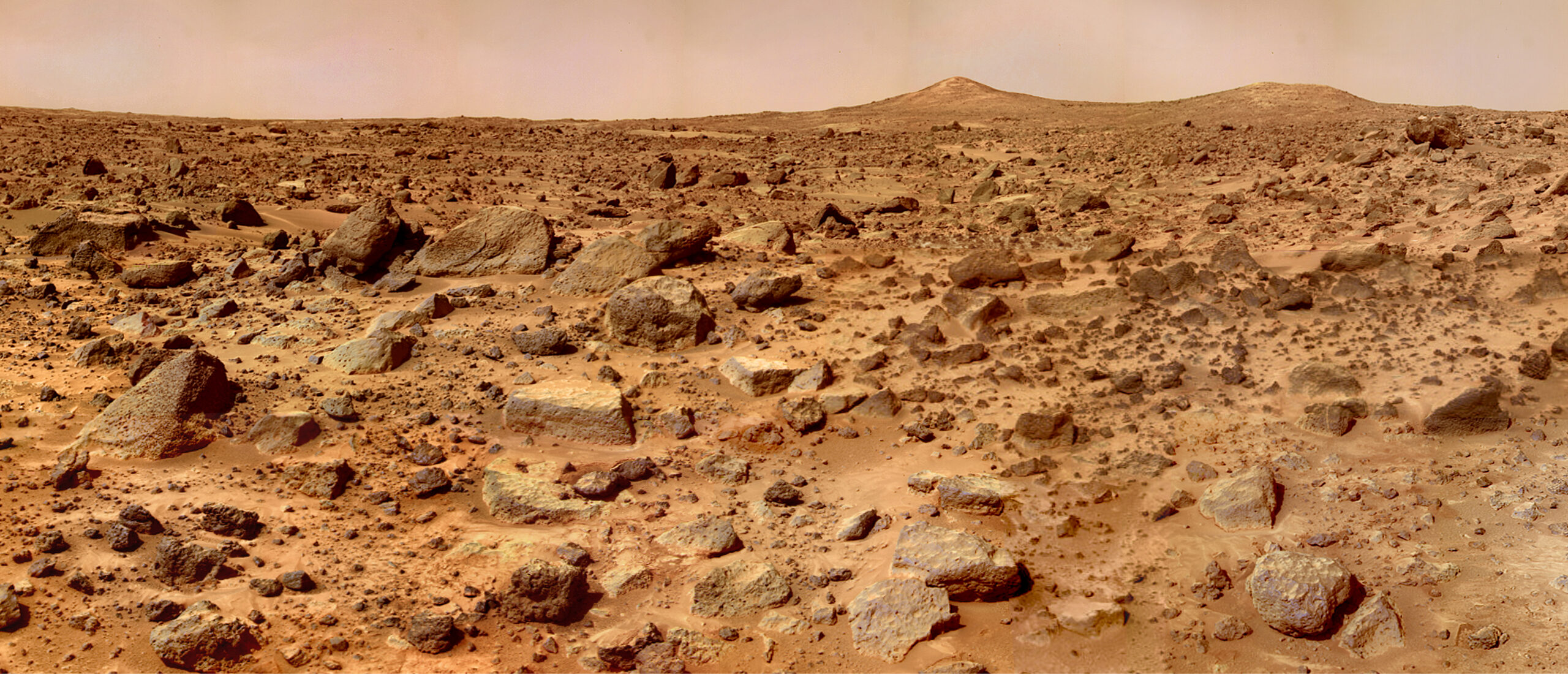 The surface of Mars is probably too toxic for bacteria to survive