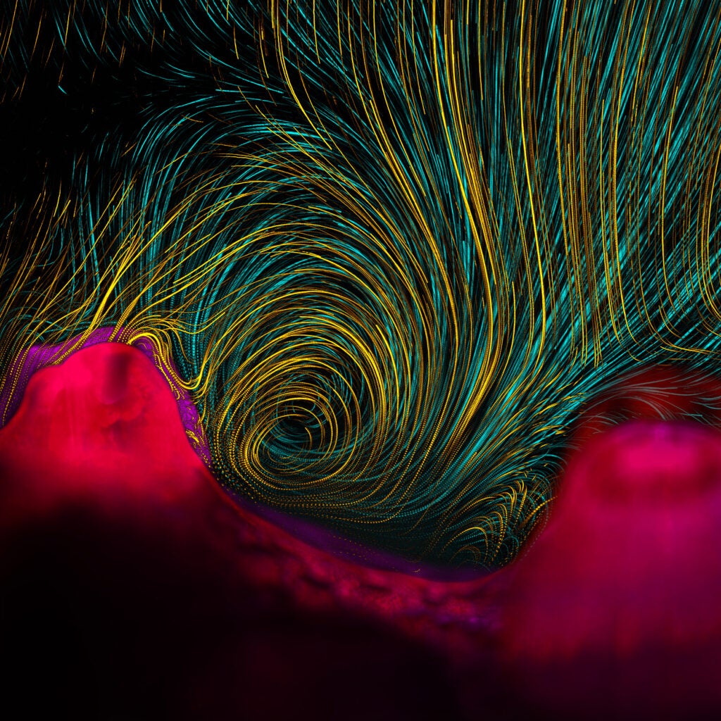 This first-place winner in the photography category captures the fluid vortex created by cauliflower coral's cilia.