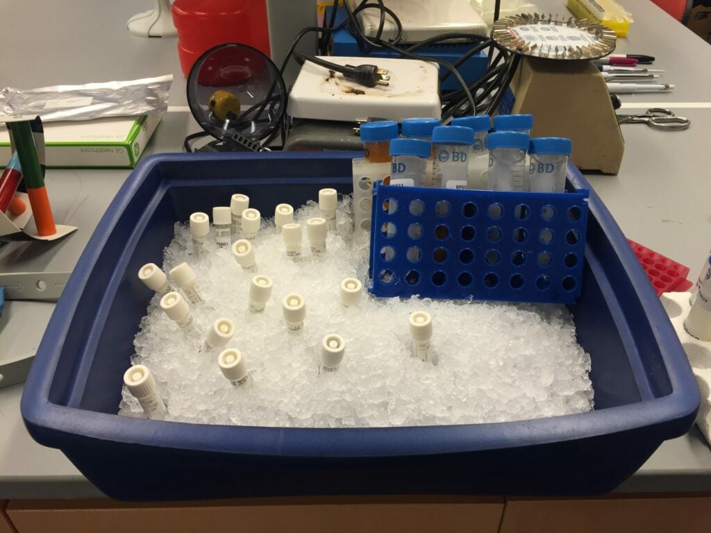 Samples on ice