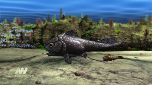 A fossilized fish, found in Western Australia, is the oldest known vertebrate to give live birth. It is estimated to be 380 million years old and shows a mother fish giving birth. Pictured is an artist's impression of the birth.