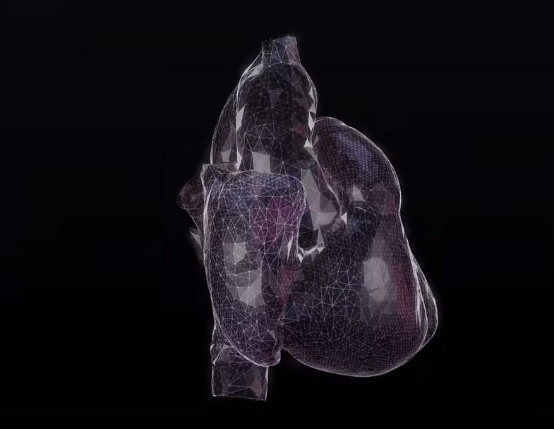 3D Heart Simulation Predicts How Drugs Will Affect Your Heartbeat