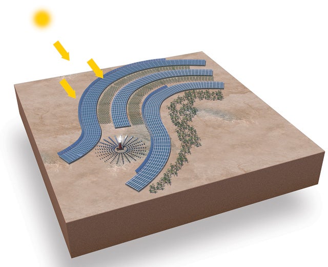 The Sahara Forest Project will use concentrating solar power to provide energy to greenhouses in the desert.