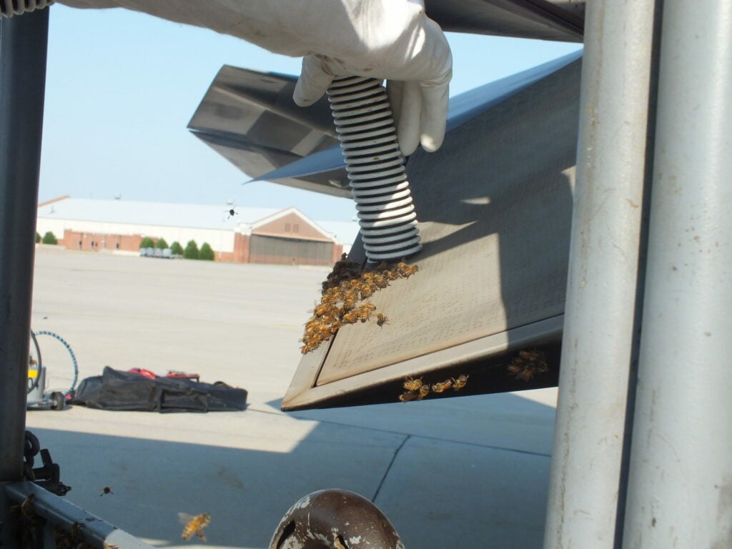 Scraping The Last Of The Bees Off The Jet
