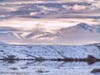 Arctic National Wildlife Refuge