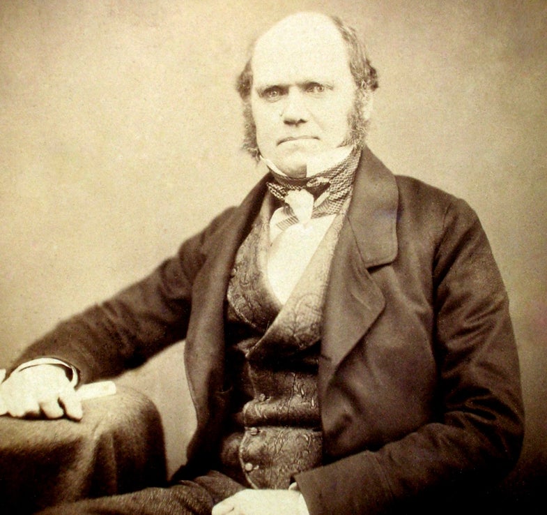Letters Written By Charles Darwin From 1860