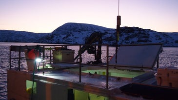 Arctic Report: How To Sell A Single Fish To 11 Different Countries