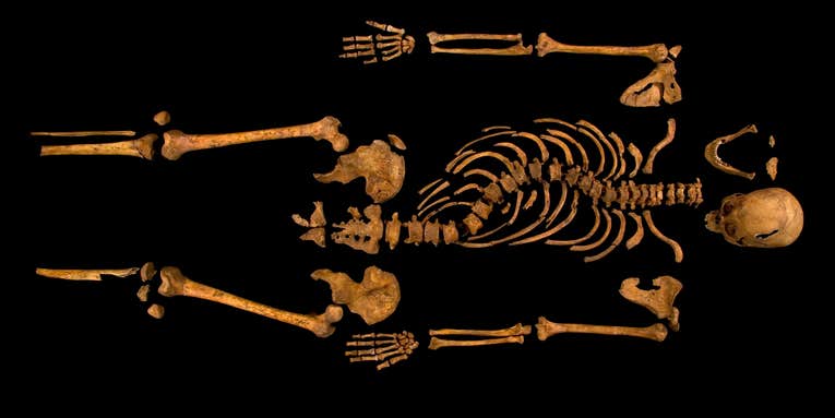 Explore A 3D Model Of Richard III’s Parking-Lot Grave