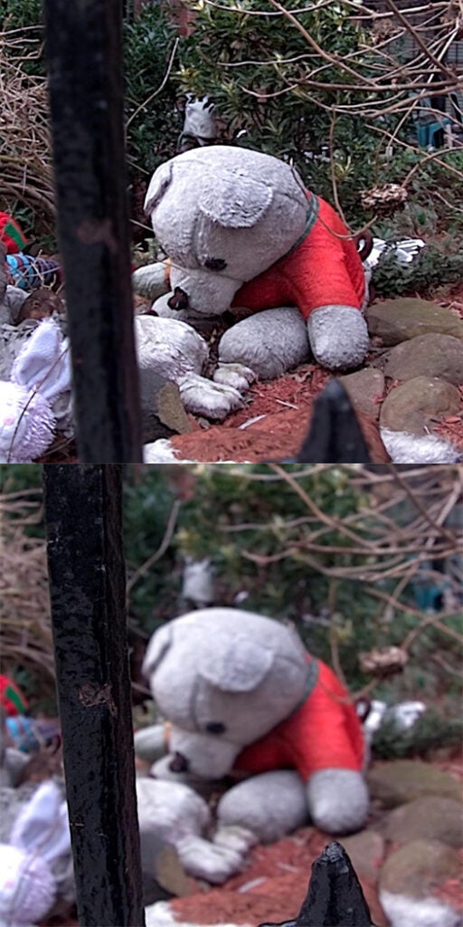Sorry, sad bear. We can unfocus on you later if you'd rather not be seen like this.
