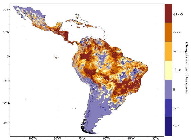 The projected change in the number of bee species across Latin America by 2050