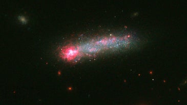 Hubble Finds A Fireworks-Filled Tadpole Rocketing Through Space