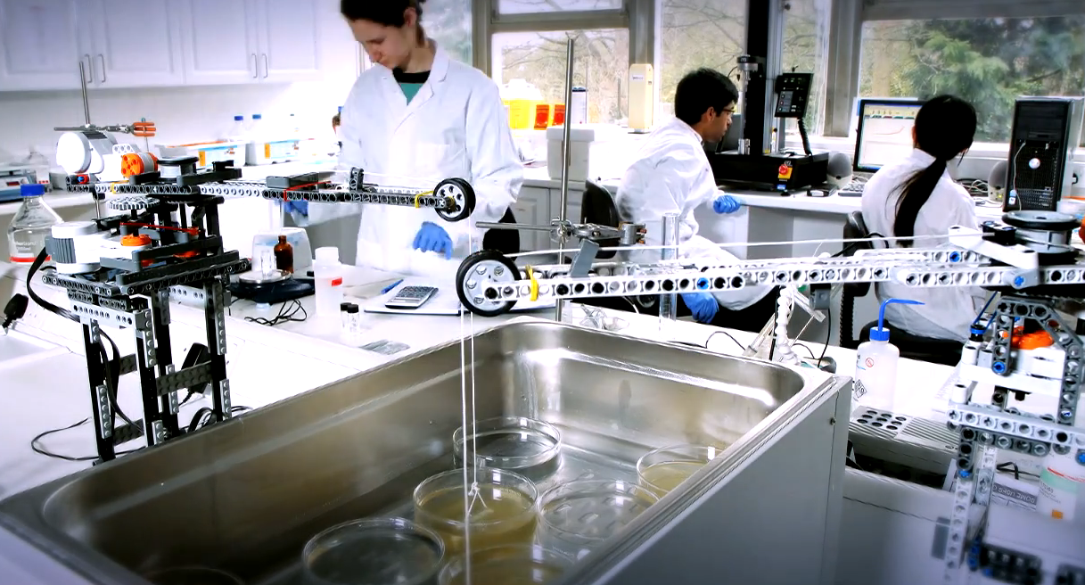 Video: Cambridge Researchers Use Legos to Build Artificial Bone in the Lab