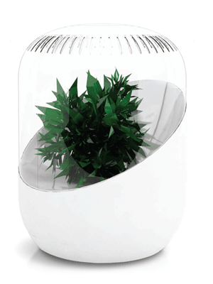 Andrea Purifier Clears the Air with Houseplants
