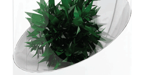 Andrea Purifier Clears the Air with Houseplants