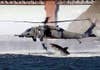 shark attacking a helicopter