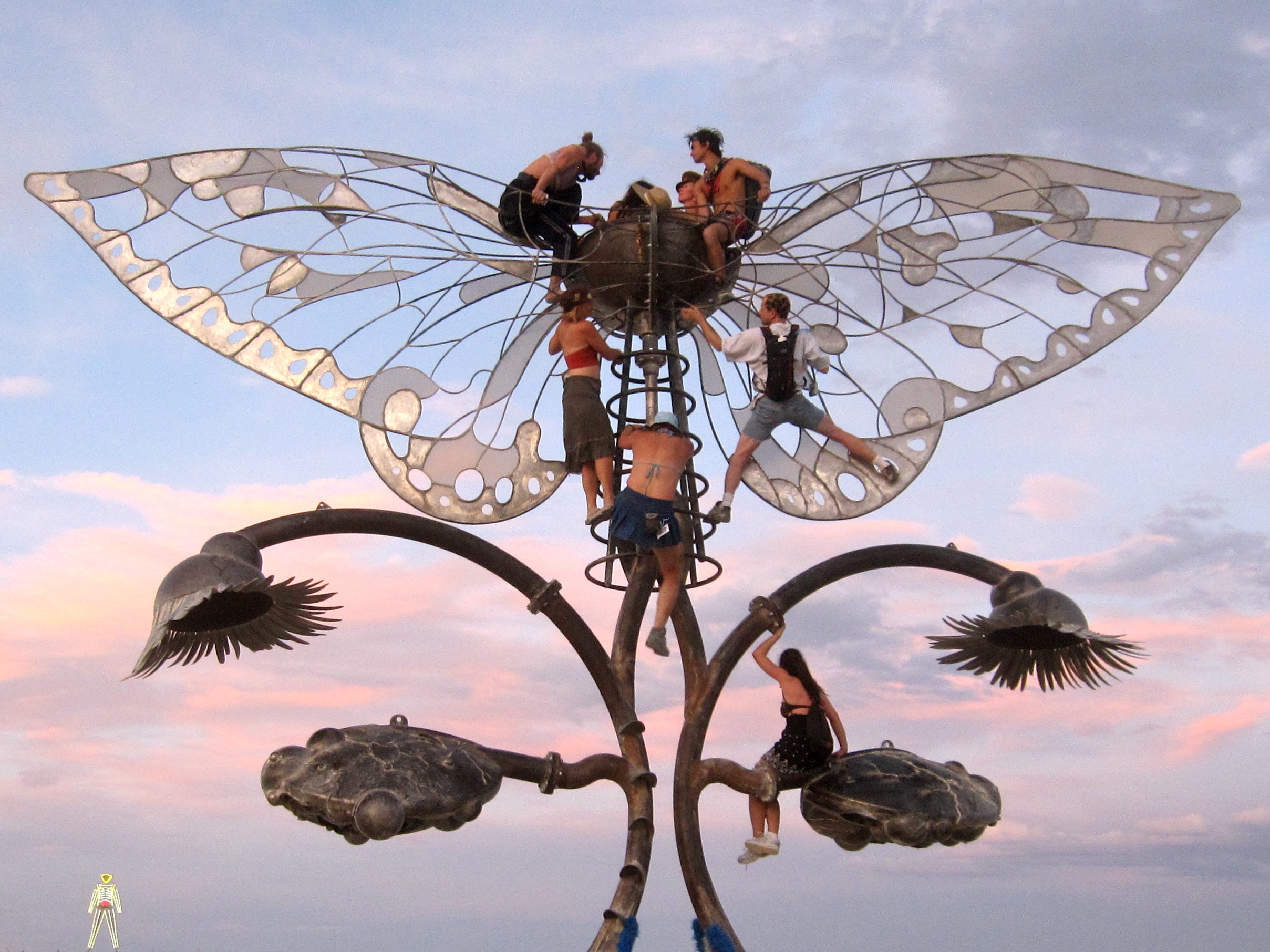 “Disgusting” Bugs That Infested Burning Man Not Actually Disgusting