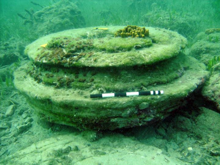 What scientists once thought was an ancient city underwater was actually made from microbes