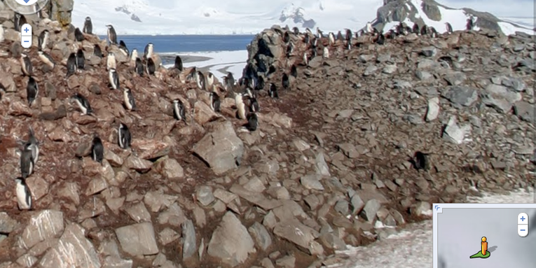 Google Street View Expands to Antarctica, Is Now on All Seven Continents