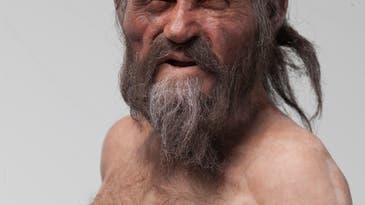 Iceman’s Stomach Bug Gives Clues To Humans’ Spread Into Europe