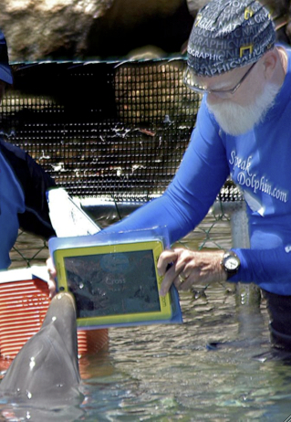 Early-Adopting Dolphin Uses iPad Touchscreen to Communicate with Humans