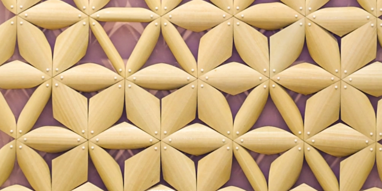 Student Invents Shapeshifting Pinecone-Inspired Building Material